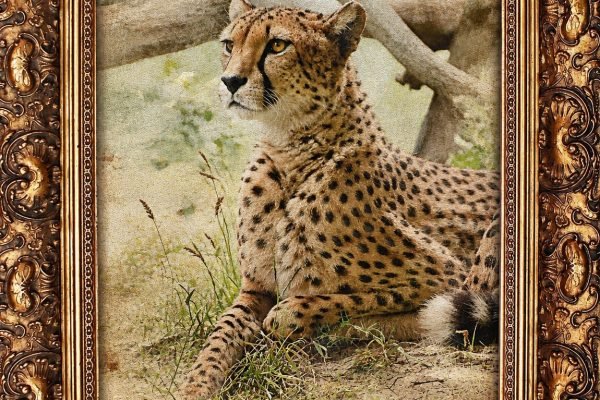 painting-3180419_1280