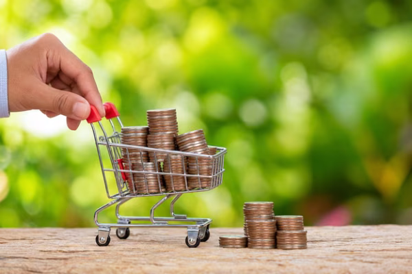 Affordable, Transparent Pricing for Every Service